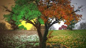 A tavasz itt van a levegőben. Valahol Tavasz Valahol Osz Lesz Szeged Ma