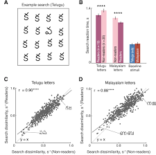 Check spelling or type a new query. Reading Increases The Compositionality Of Visual Word Representations Biorxiv