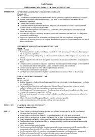 Financial risk management refers to the process by which companies identify potential risks with respect to its finances, analyze them and draw up precautionary measures and strategies to avert or minimize such risks. Risk Management Consultant Resume Samples Velvet Jobs