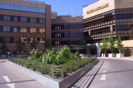 Clinica Las Condes R V