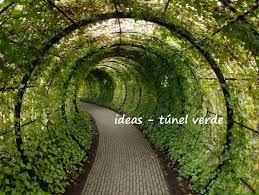 Diseno De Jardines Y Areas Verdes Paisajismo Arquitectura En El Df Y Estado De Mexico Para Particulares Empresas Resta Poison Garden Garden Walkway Alnwick