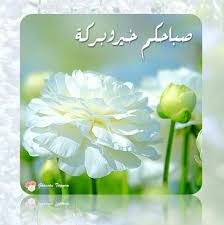 Good Morning Morning Greetings Quotes Morning Greeting Morning Images