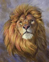 African Lion Art Print By Lucie Bilodeau In 2020 Lion Painting Lion Art Animal Paintings
