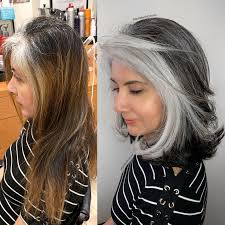 Researchers recently discovered that going gray is a buildup of hydrogen peroxide in your hair particles, which bleaches your hair from the inside. Match The Pattern Of Your Grey Roots Click On Link Below For How I Did It Hair Gray Hair Highlights Grey Hair Transformation Blending Gray Hair
