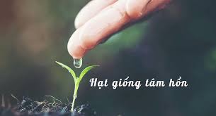 Hạt giống tâm hồn - Truyện Ngắn Ý Nghĩa