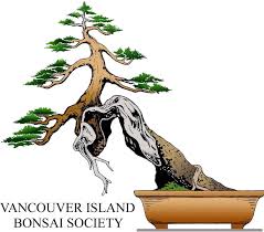 Daybreak gardens is the first choice in portland and clark county for bonsai enthusiasts and bonsai beginners. Vancouver Island Bonsai Society Posts Facebook
