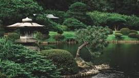 Sip of Japan: A Journey of Spirit & Craft