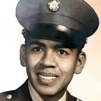 Louis Badillo Castillo Obituary (2025)