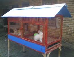 Sebelum memulai pembuatan kandang ayam dari kawat bersistem baterai tersebut maka sebaiknya pembuatan sketsa gambar diperhatikan dengan baik. Panduan Cara Membuat Kandang Kelinci Lengkap Dengan Gambar Belajar Beternak