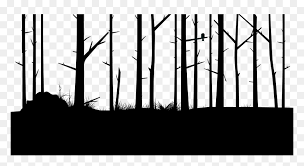 Set of pine, spruce and christmas tree on white background. Burnt Tree Line Silhouette Hd Png Download Vhv