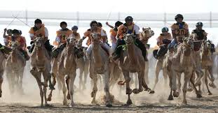 .establishment in the uae, inspired by camel racing, locally, regionally, nationally, internationally, and globally at the arab and foreign levels as well. Uae Camel Racing To Resume Following A Five Month Hiatus Al Monitor The Pulse Of The Middle East