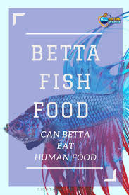 Pellets Flakes Live Food Frozen Food It S A Topic That Betta Owners Love To Discuss When It Comes To Betta Food One Of The Betta Fish Betta Human Food