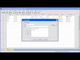 1 3b Define Variable Pasw Spss Statistics Spss Statistics Research Methods Variables