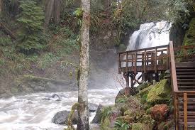 We did not find results for: Majestic Falls And Viewing Platform Picture Of Mcdowell Creek Falls Lebanon Tripadvisor