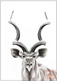 Kudu Bull Signed And Limited Edition Giclee Print Etsy Wildlife Art Art Kudu