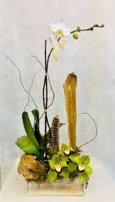 Explore silk plants direct's silk flowers and faux trees and plants for indoor and outdoor display. Delray Beach Fl Flower Shops Local Delray Beach Florists Flower Shop Network