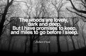 Miles to go before i sleep meaning in hindi. And Miles To Go Before I Sleep Live Life To The Fullest