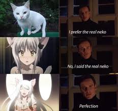 I M More Like Koneko Though Anime Highschool Dxd Monogatari Series Bocahmitos Anime Meme Memes Neko Nekogirl Anime Memes Funny Anime Funny Anime