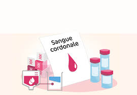 I nostri servizi | Conservazione delle cellule staminali