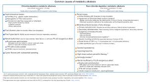 Image result for Base Excess