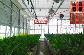 December 4, 2020 | history. Hybrid And Organic Photovoltaics For Greenhouse Applications Sciencedirect