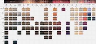 33 Abiding Igora Royal Color Chart Pdf