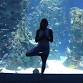 Fin & Zen Yoga - November 16 event image