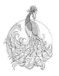 Pin On Adult Colouring Pages