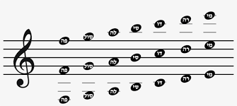 Now that you've learned a bit about notes and scales, spend some time creating your own patterns. Musical Notes Scale Music Note Middle C Transparent Png 1000x400 Free Download On Nicepng