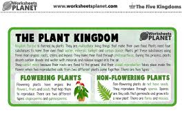 Fern fronds can reproduce when the tiny spores that form on the back of the leaflets are shook loose from the main plant and carried on the wind. The Five Kingdoms Of Living Things For Kids Super Pack