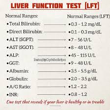 Image result for Liver Function Test