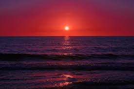 The blood red sun sets on the blue ocean dramatic sunset on the sea |  Premium Photo