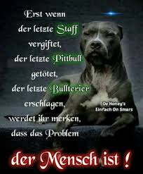 Sign In Hundespruche Zitate Lustig Spruche Tiere