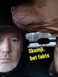 Pitbulls in Latvia: A Look at Rīga's Canine Culture