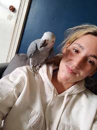 Hi looking for some advice Travelling with an 18 month old in August. Are  reins