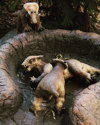 Houstonzoo Dinosaurs Diabloceratops Babies Playing Houston Zoo Zoo Animals Reptile House