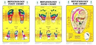 the reflexology map for feet of foot and hand printable