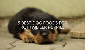 They are heavily muscled and strong which makes them ideal for pulling carts and intimidating potential intruders. 5 Best Dog Foods For Rottweiler Puppies Jubilant Pups