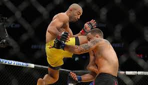 El último año de José Aldo: La leyenda pretende retirarse este ...