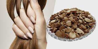 Translate air kapur in english online and download now our free translator to use any time at no charge. Use Ayurvedic Medicine Kapoor Kachli Powder To Make The Best Hair Mask