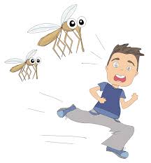 Mosquitoes are vectors of malaria, encephalitis and yellow and dengue fevers. How Long Do Mosquito Bites Take To Go Away Clegg S Pest Control