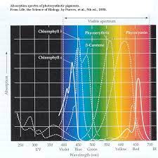 Colorimetry