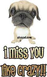55 I Miss You Animated Images Gifs And Wallpapers Entertainmentmesh