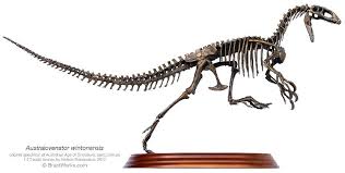 Dinosaur Fossil In 2020 Skeleton Model Dinosaur Museum Dinosaur