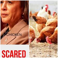 These Fox news reporters ask the most dumb questions and ppl who listen and  follow that news network are kept dumb.