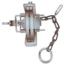 — phil helsel, nbc news, 7 july 2021 the auction house is a local institution in a huge barnlike building where everything from antiques to bear traps can be available. Jaws And Sizes Of Foothold Traps