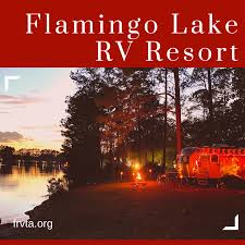 Flamingo Lake Rv Resort Florida Rv Trade Association In 2020 Lake Resort Florida Camping