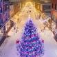 Tree Lighting on the Church Street Marketplace event in Burlington, VT