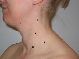 Pain is also more likely to biopsies and other tests can confirm the stage of the cancer to see whether it has spread to other parts of the body. Mouth Cancer