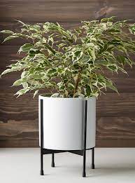 Maybe you would like to learn more about one of these? Le Cache Pot Sur Pied Moderne17 75 Cm De Haut Torre Tagus Vases Et Cache Pots Accessoires Deco Simons